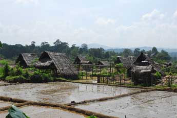 Ceylon Mines